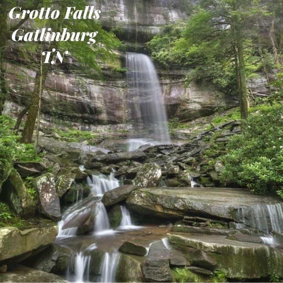 Meet your Posher, Laura - Picture 5 of 5